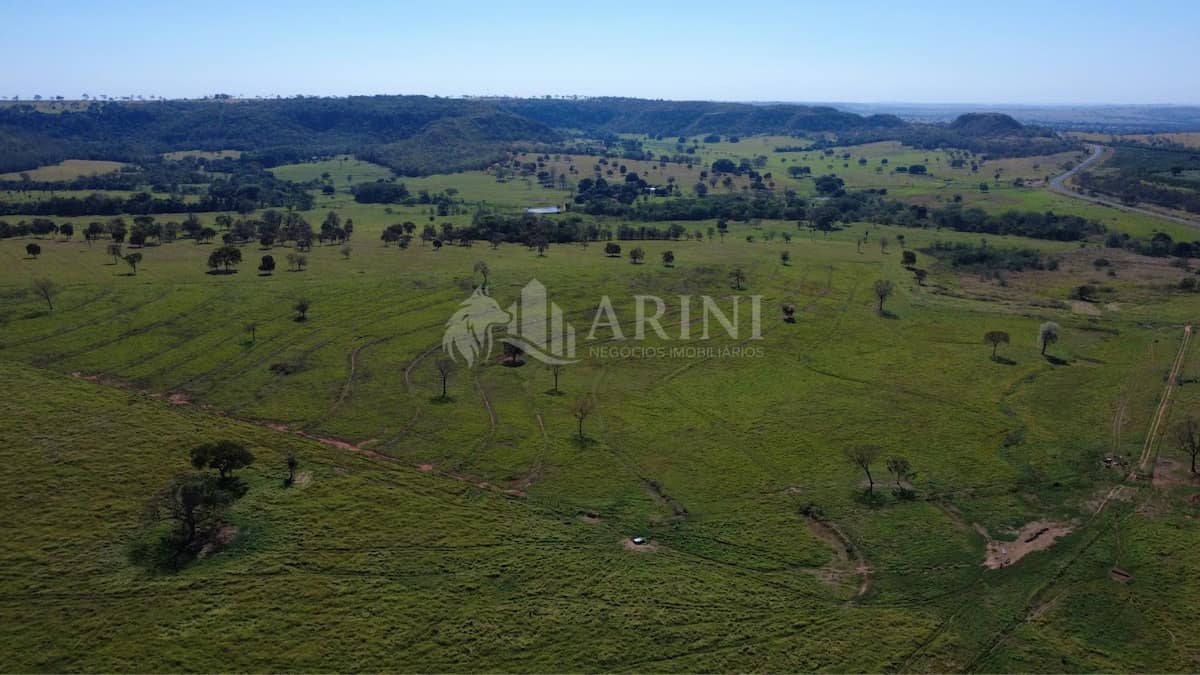 FAZ. 31,5 ALQUEIRES CAMPINA VERDE MG