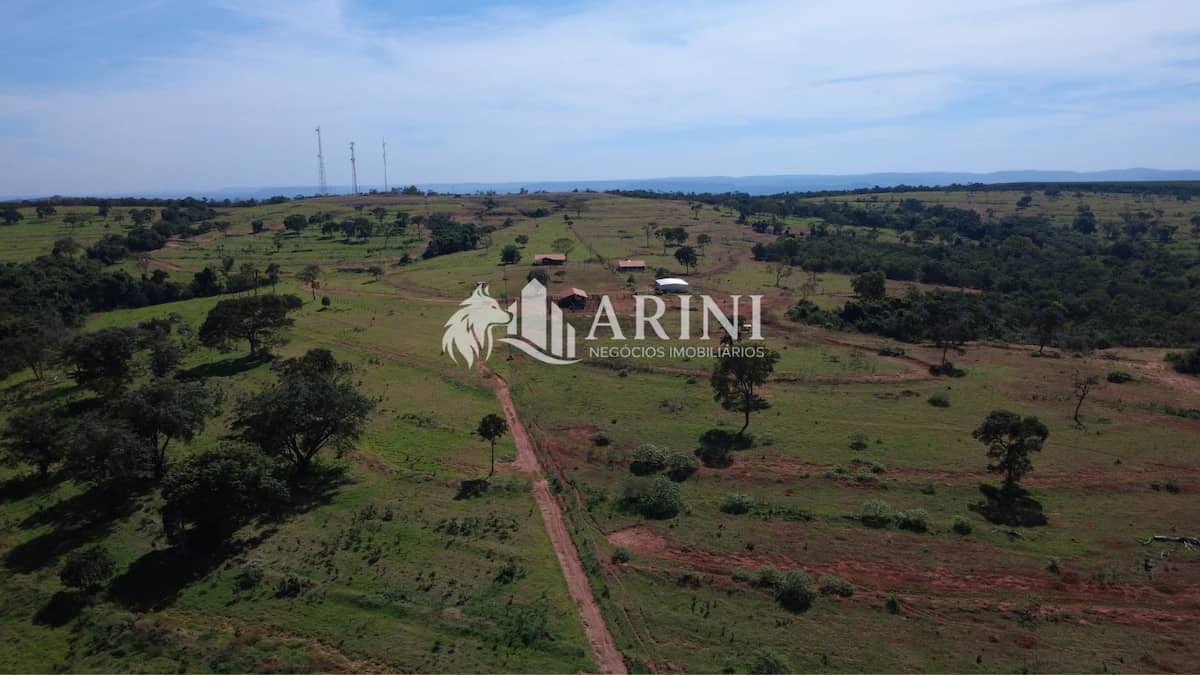 FAZENDA 46 ALQUEIRES CAMPINA VERDE MG